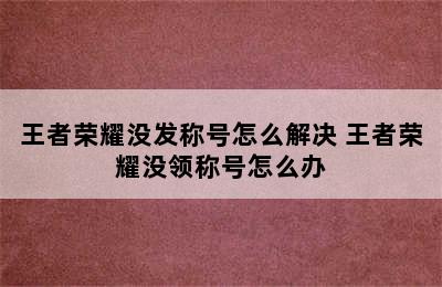 王者荣耀没发称号怎么解决 王者荣耀没领称号怎么办